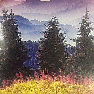 Meet your Posher, Teftefy